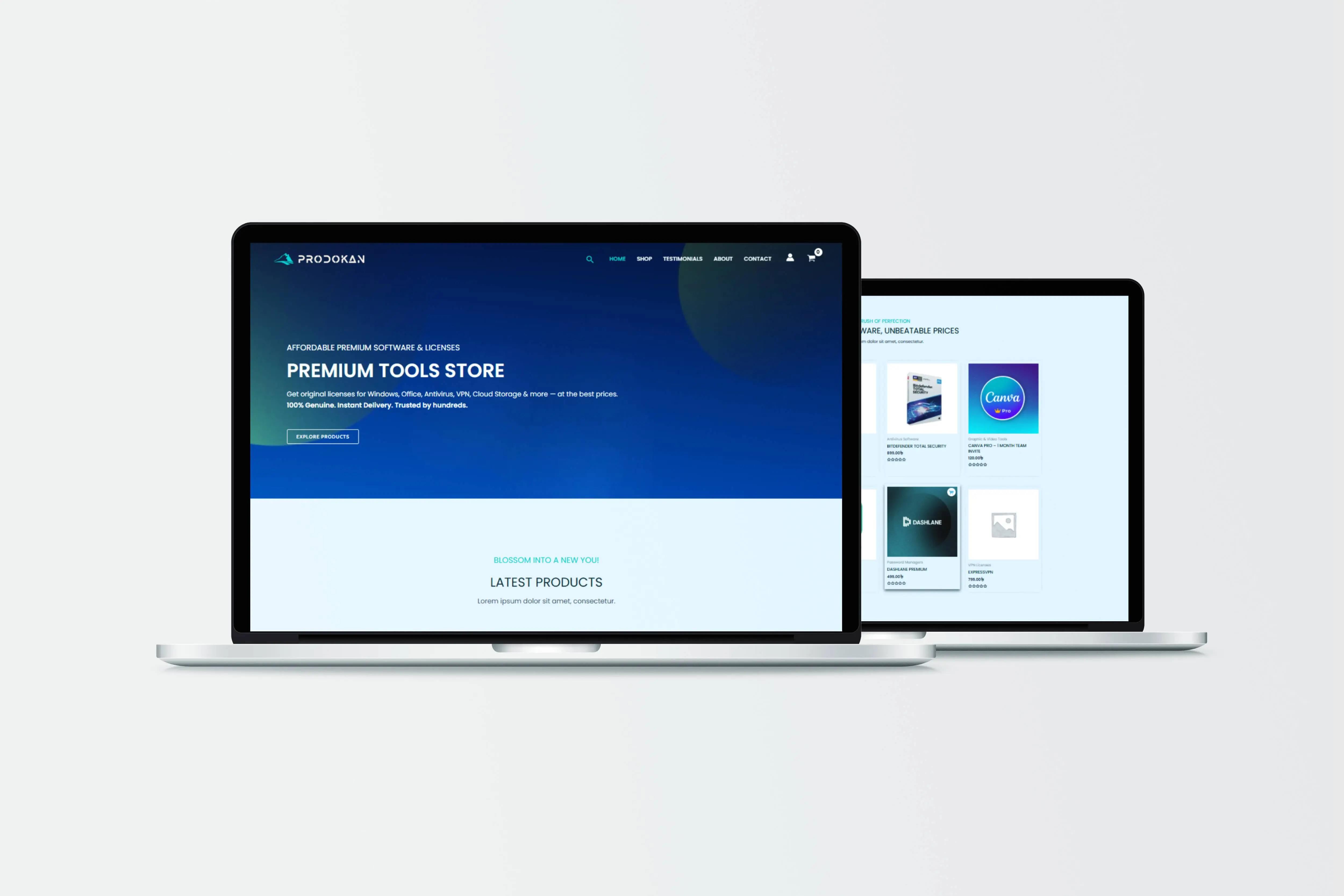 WordPress Website Development